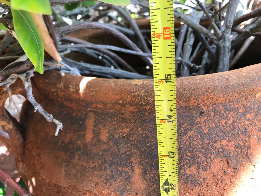 Large Outdoor Potted Plant Pot Measures 15H X 16W (See Photos For Better Look At Pot) [Photo 5]