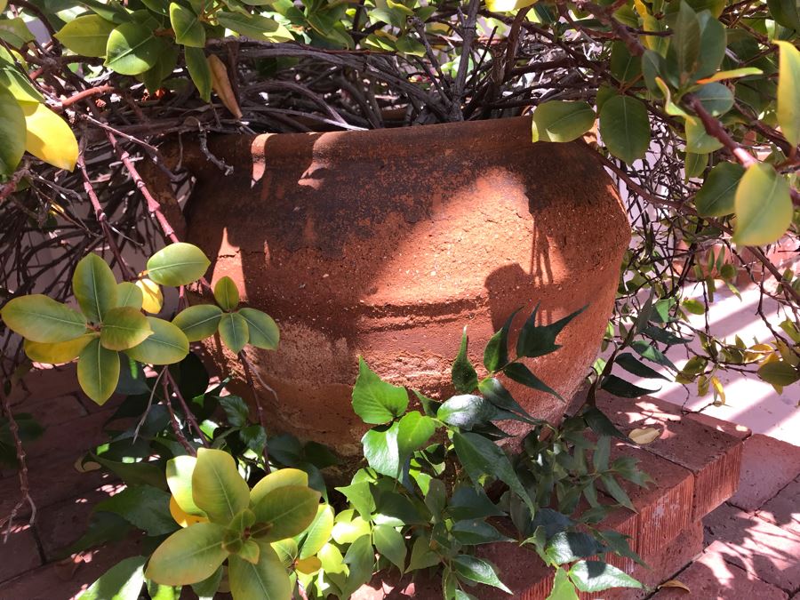 Large Outdoor Potted Plant Pot Measures 15H X 16W (See Photos For Better Look At Pot) [Photo 4]