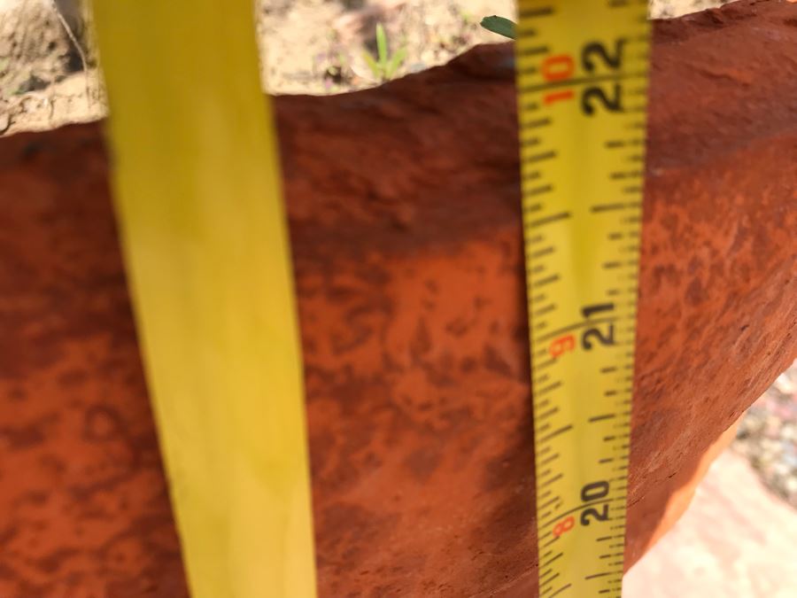 Large Potted Palm Plant - Pot Measures 24W X 22H [Photo 5]