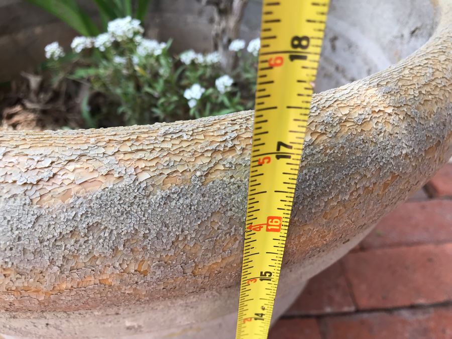 Large Potted Plant - Pot Measures 18W X 17H [Photo 7]