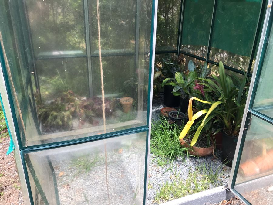 Lot Of Potted Plants And Pots Within Greenhouse (Does Not Include Greenhouse) - See Photos