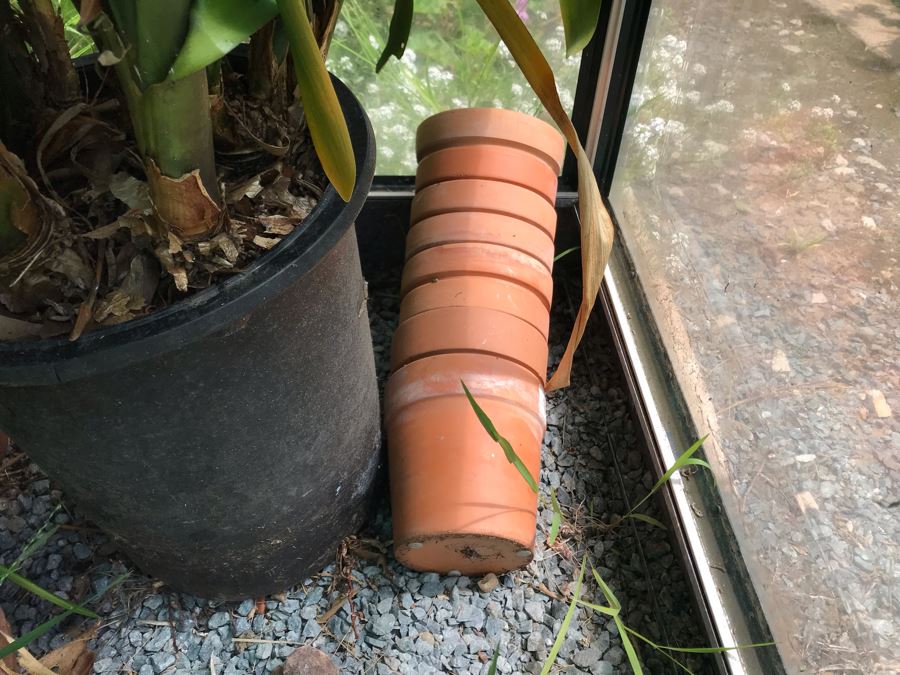Lot Of Potted Plants And Pots Within Greenhouse (Does Not Include Greenhouse) - See Photos [Photo 5]