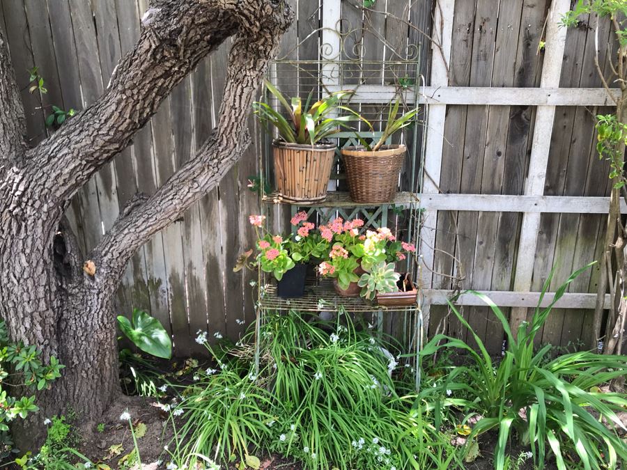 Vintage Metal Shabby Chic Plant Rack With Multiple Potted Plants 24.5W X 62H - See Photos [Photo 2]