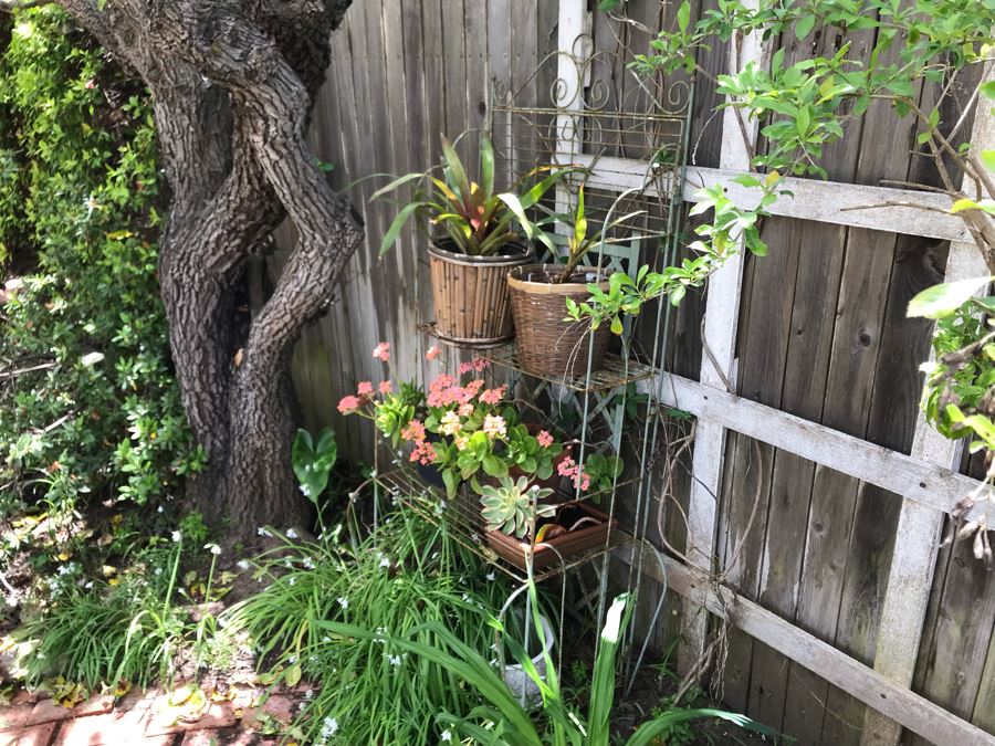 Vintage Metal Shabby Chic Plant Rack With Multiple Potted Plants 24.5W X 62H - See Photos [Photo 3]