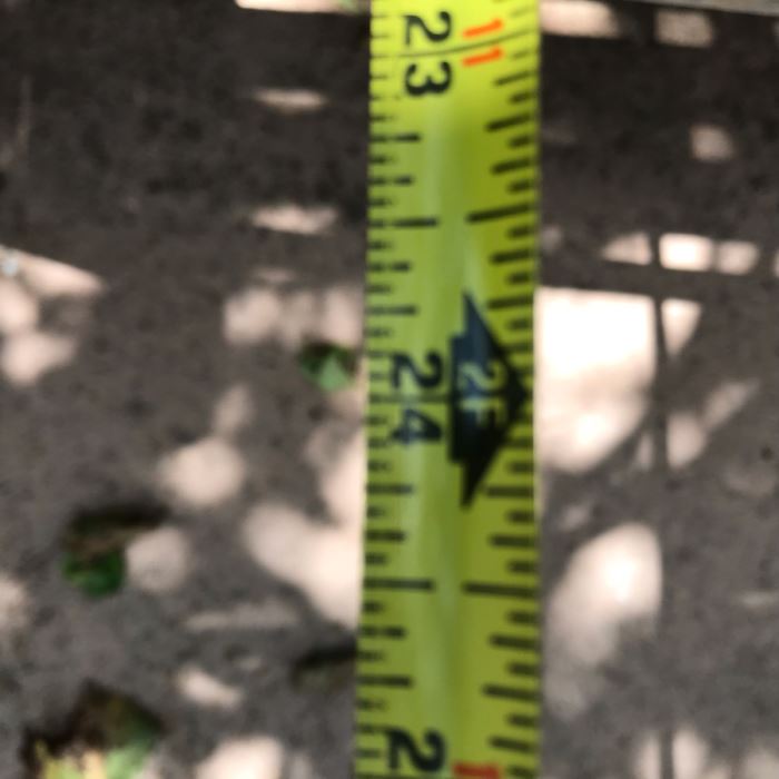 Outdoor Teak Bench 48W X 24D X 36H [Photo 5]