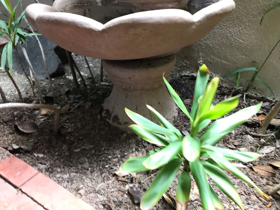 3-Tier Shell Motif Outdoor Cement Water Fountain 27W X 39H [Photo 6]