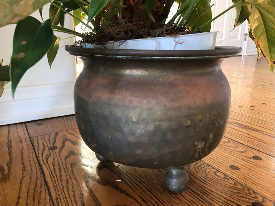 Indoor Potted Plant IN Footed Brass Planter Pot 28H [Photo 2]