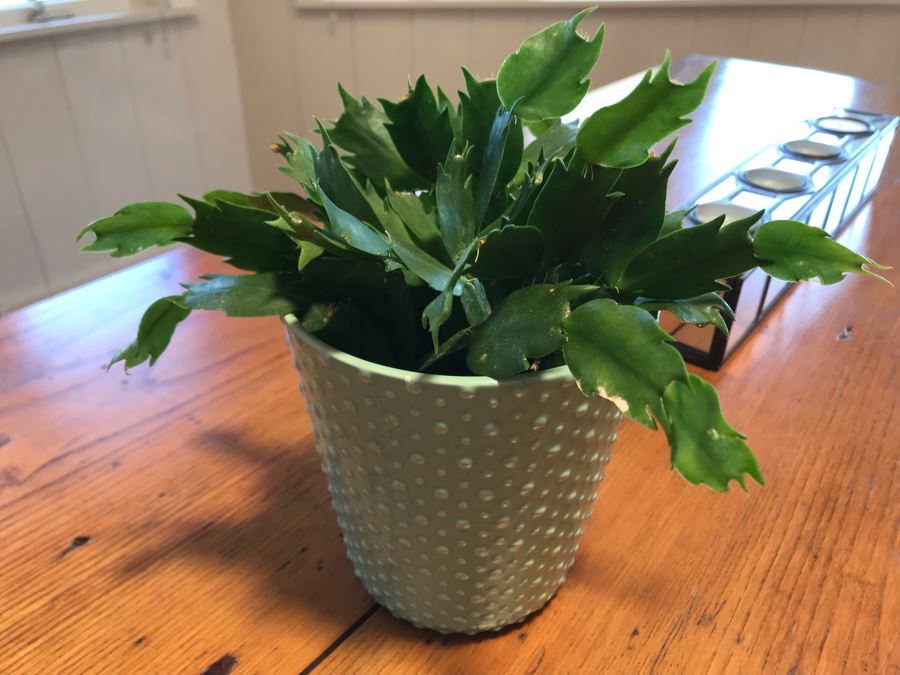 Pair Of Modern Mirrored Candle Holders And Faux Potted Plant [Photo 4]
