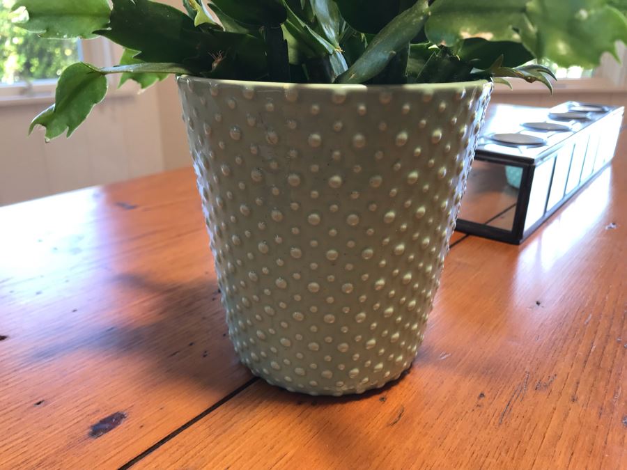 Pair Of Modern Mirrored Candle Holders And Faux Potted Plant [Photo 5]