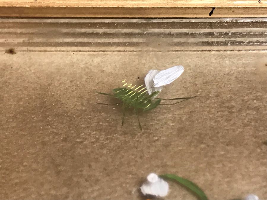 Original Oil Painting Multi-Layer Glass 3-D Painting Of Bee Approaching Flowers By Edmond J. Nogar 6W X 7H [Photo 11]