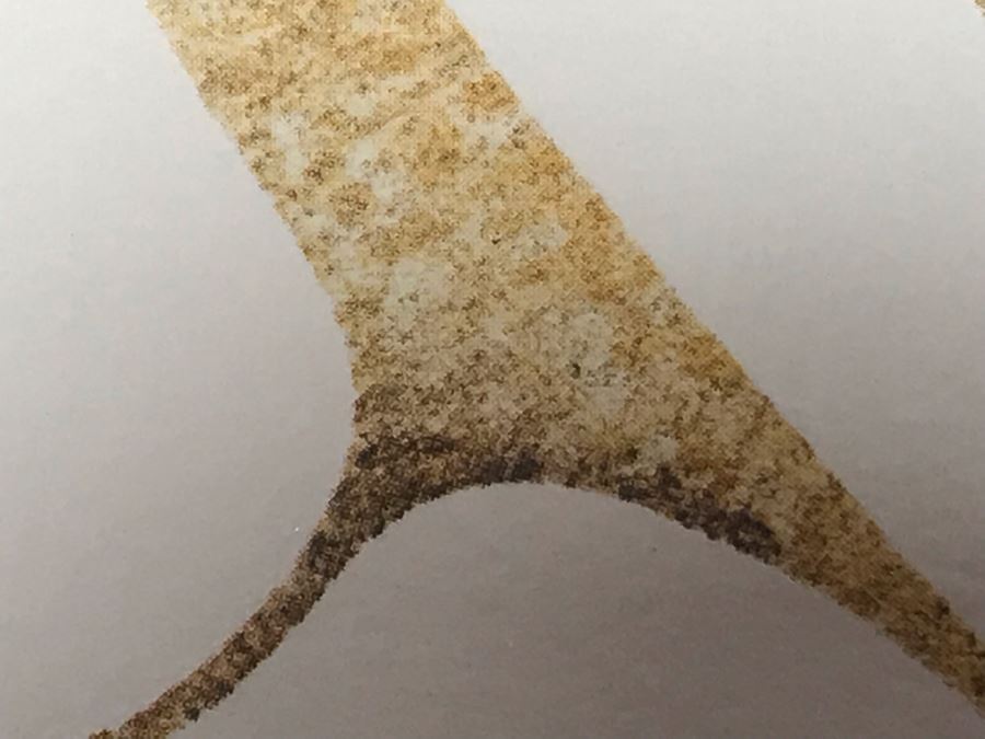 Benjamin Chee Chee Print Titled 'Dancing Goose' 9W X 6H [Photo 9]