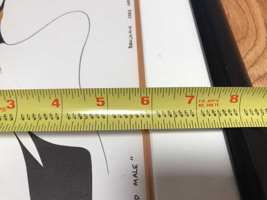 Benjamin Chee Chee Print Titled 'Proud Male' 9W X 6H [Photo 8]