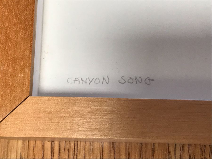 Vintage 1981 Original Mixed Media Artwork By Irene Jellinek Titled 'Canyon Song' 20W X 16H [Photo 15]