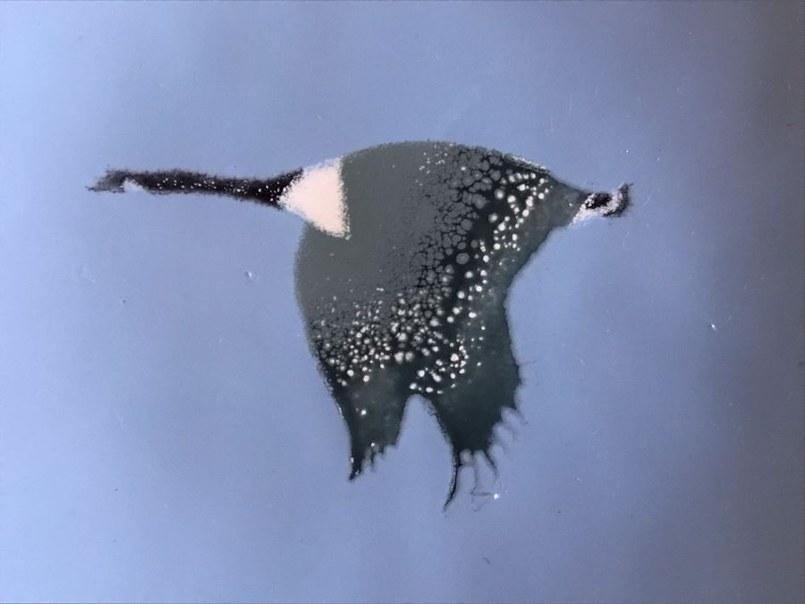Vintage 1979 Metal Enamel Dish Signed B. E. Eren Canada Goose 5 X 5 [Photo 3]