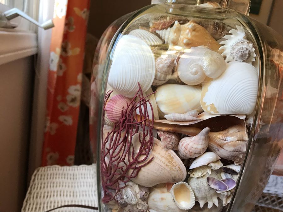 Glass Table Lamp Loaded With Variety Of Organic Seashells 28H [Photo 7]
