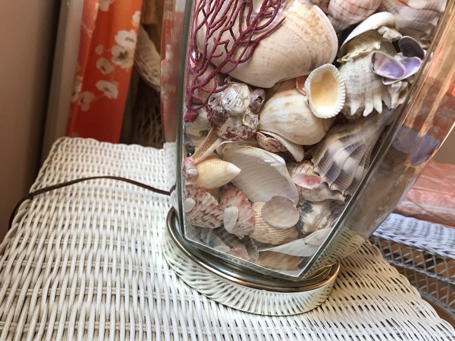 Glass Table Lamp Loaded With Variety Of Organic Seashells 28H [Photo 8]