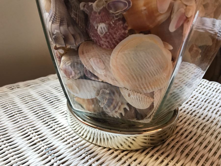 Glass Table Lamp Loaded With Variety Of Organic Seashells 28H [Photo 6]