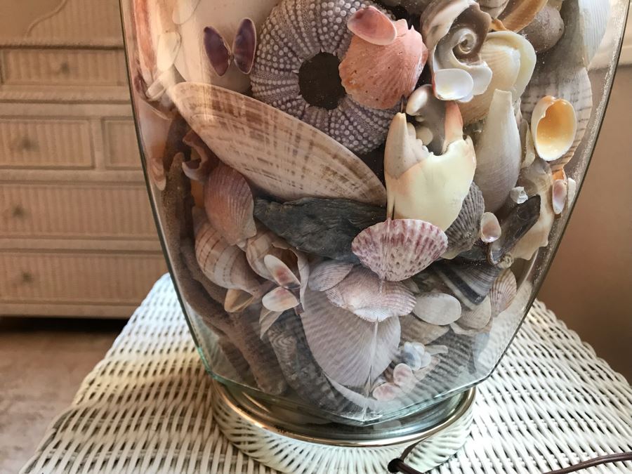 Glass Table Lamp Loaded With Variety Of Organic Seashells 28H