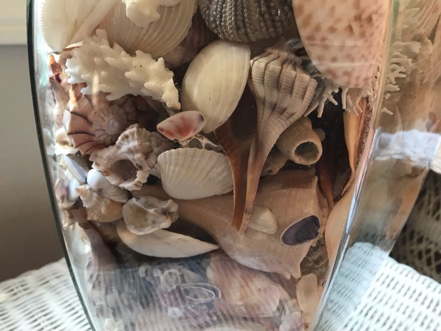 Glass Table Lamp Loaded With Variety Of Organic Seashells 28H [Photo 5]