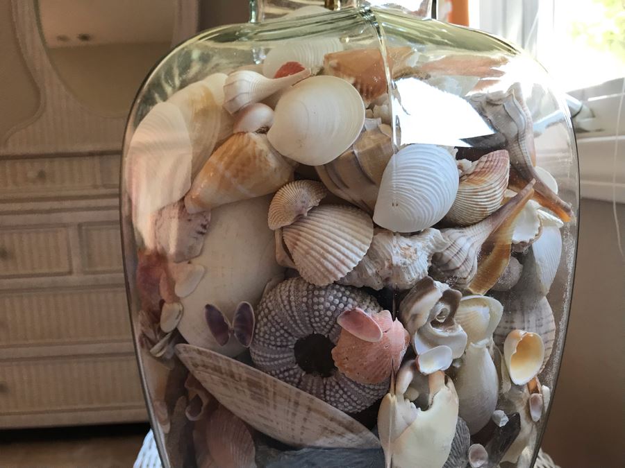Glass Table Lamp Loaded With Variety Of Organic Seashells 28H [Photo 10]