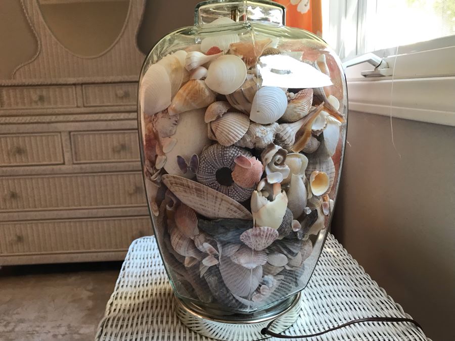 Glass Table Lamp Loaded With Variety Of Organic Seashells 28H [Photo 9]