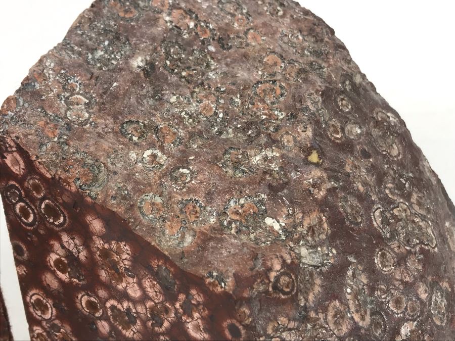 JUST ADDED - Polished Stone Bookends 4W X 3D X 5H [Photo 5]