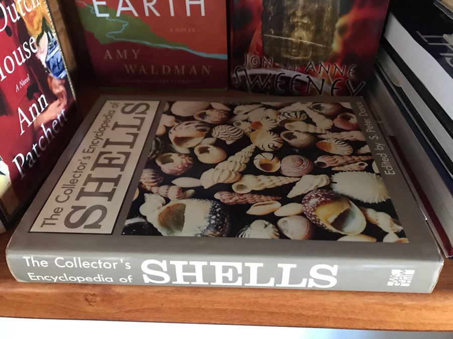 JUST ADDED - Book Lot [Photo 3]