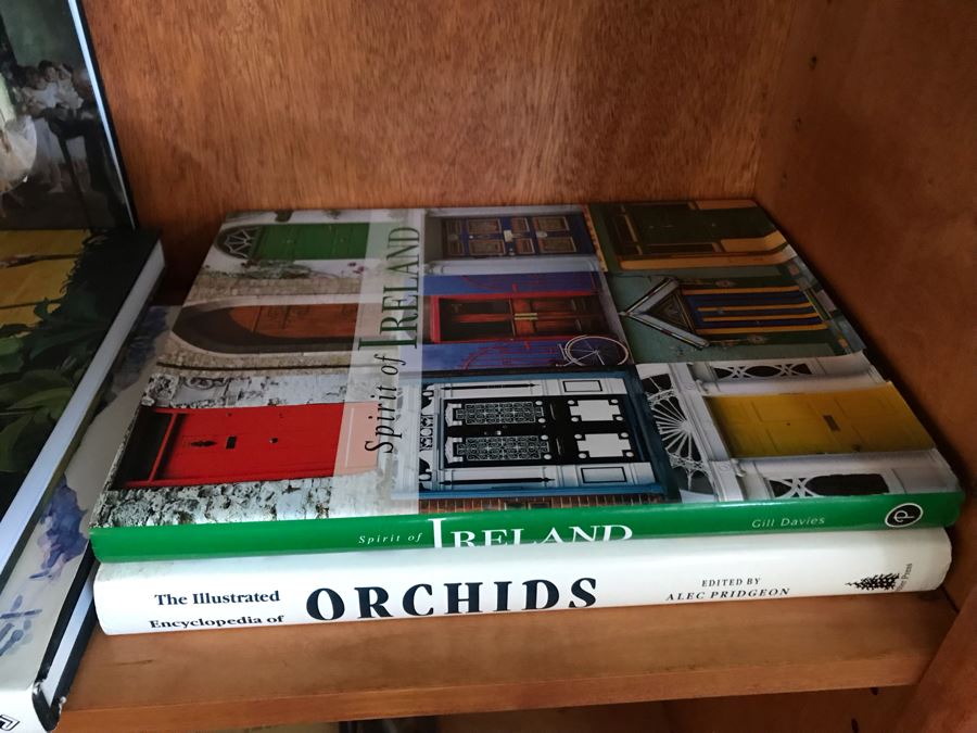 JUST ADDED - Book Lot Shown On Center Shelf - Mainly Art Books [Photo 6]