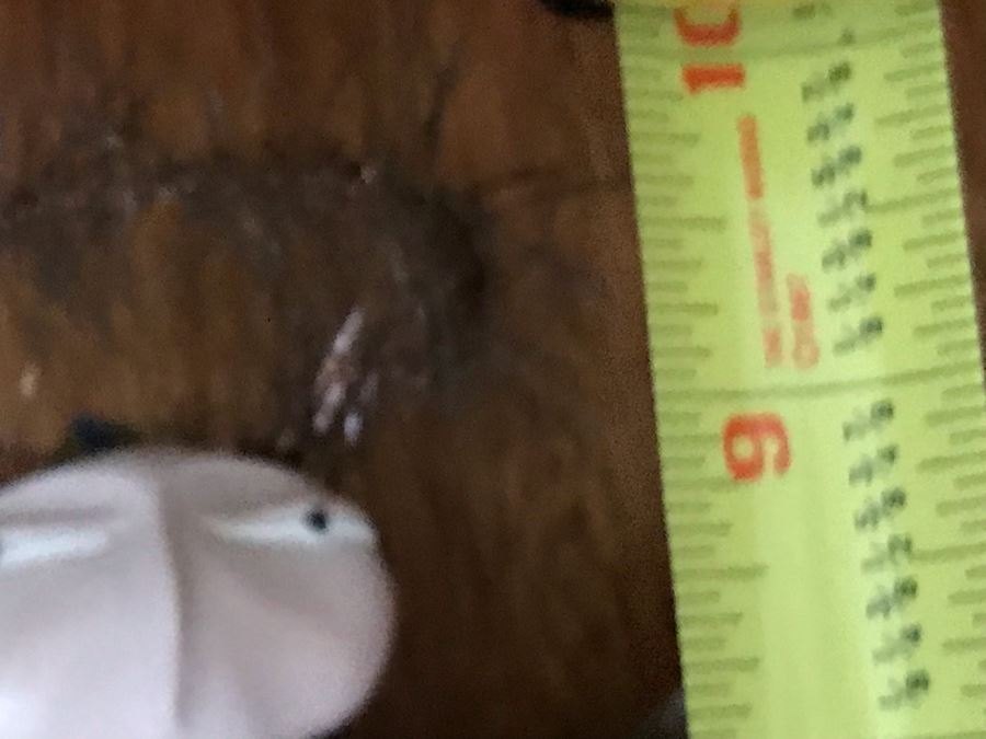 JUST ADDED - Handmade Peruvian Pottery Sculptures And Handmade Doll 9H [Photo 9]