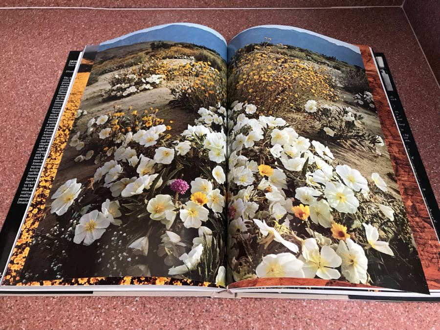 JUST ADDED - Large Format Coffee Table Book Desert Images Photographs By David Muench, Text By Edward Abbey Retails $125 [Photo 11]