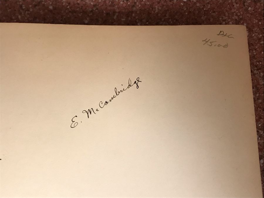 JUST ADDED - Vintage 1933 Hardcover Book The First World War A Photographic History By Laurence Stallings [Photo 5]