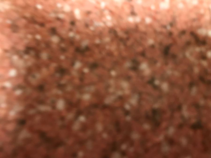 JUST ADDED - Pair Of Carved Stone Foo Dog Seals 3'H [Photo 4]