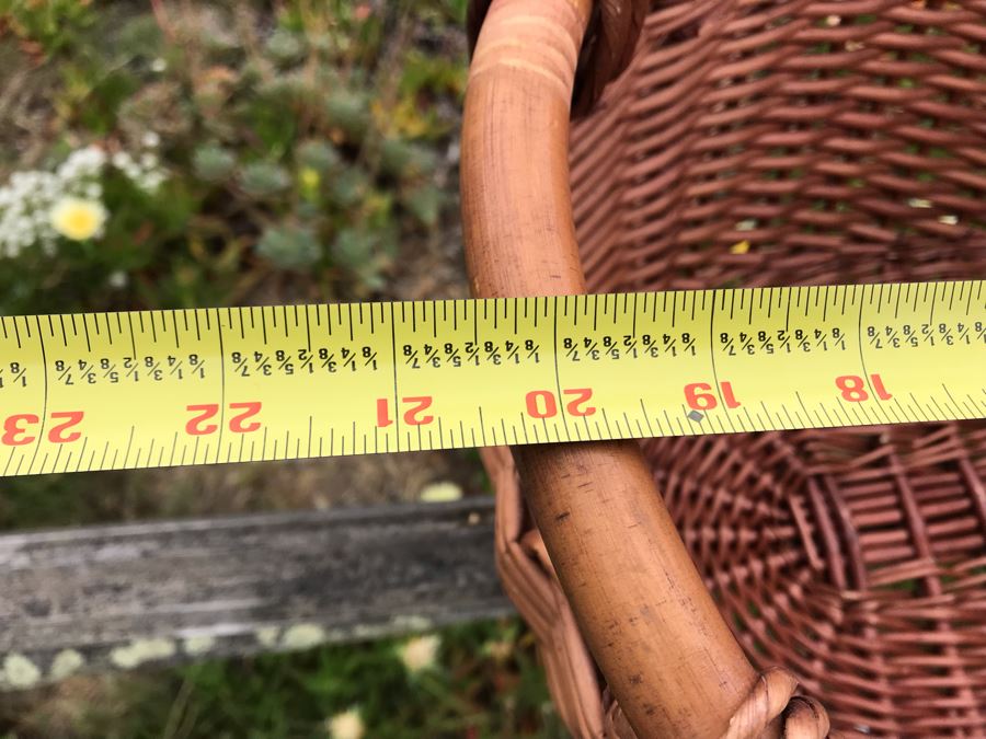 JUST ADDED - U-Pick Oranges And/Or Lemons From Fruit Grove - Fill Up Basket (Basket Included 20W X 16D X 10H) [Photo 3]