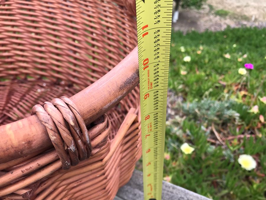 JUST ADDED - U-Pick Oranges And/Or Lemons From Fruit Grove - Fill Up Basket (Basket Included 20W X 16D X 10H) [Photo 5]