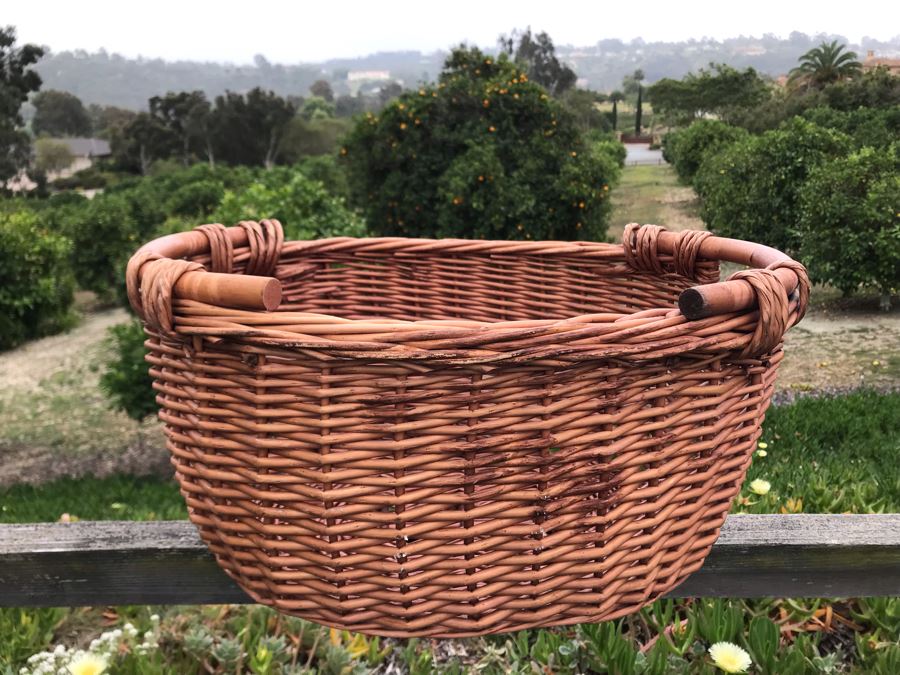 JUST ADDED - U-Pick Oranges And/Or Lemons From Fruit Grove - Fill Up Basket (Basket Included 20W X 16D X 10H) [Photo 1]