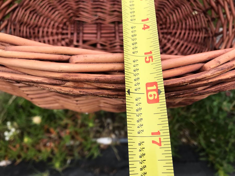 JUST ADDED - U-Pick Oranges And/Or Lemons From Fruit Grove - Fill Up Basket (Basket Included 20W X 16D X 10H) [Photo 4]