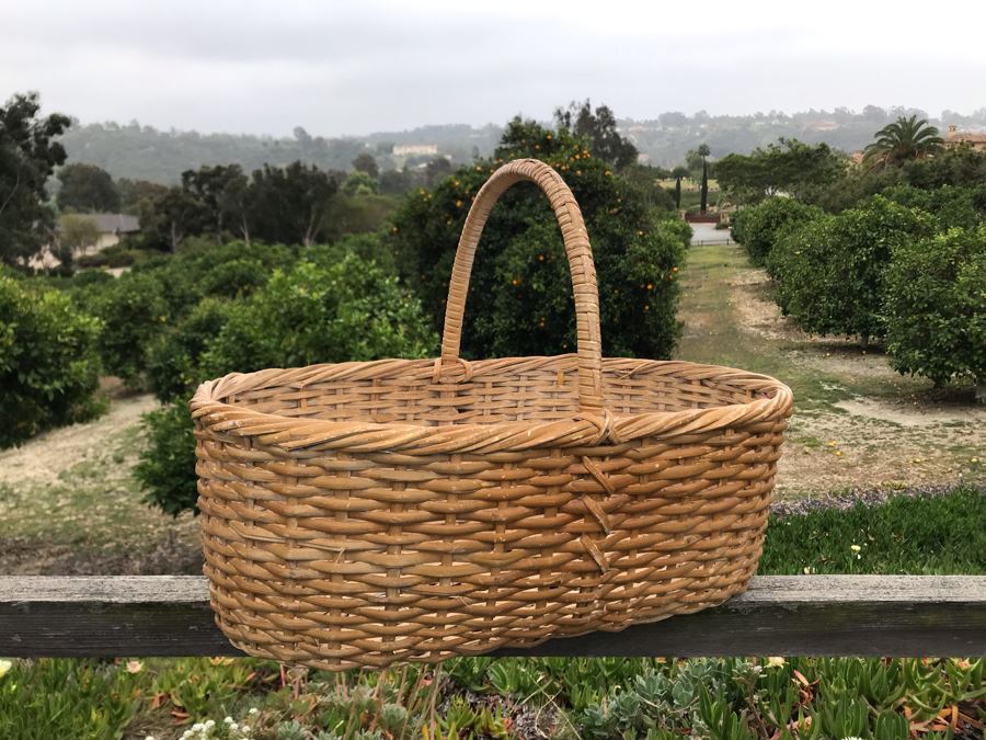 JUST ADDED - U-Pick Oranges And/Or Lemons From Fruit Grove - Fill Up Basket (Basket Included 21W X 13D X 15H)