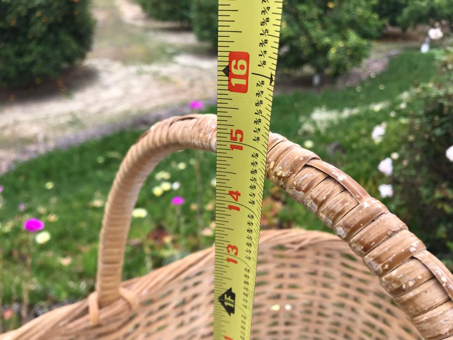 JUST ADDED - U-Pick Oranges And/Or Lemons From Fruit Grove - Fill Up Basket (Basket Included 21W X 13D X 15H) [Photo 5]