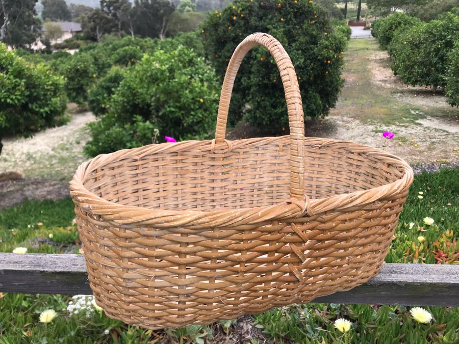 JUST ADDED - U-Pick Oranges And/Or Lemons From Fruit Grove - Fill Up Basket (Basket Included 21W X 13D X 15H) [Photo 2]