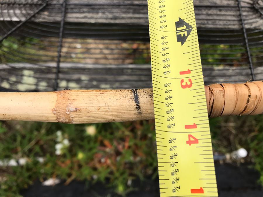 JUST ADDED - U-Pick Oranges And/Or Lemons From Fruit Grove - Fill Up Basket (Basket Included 26W X 13D X 6H) [Photo 4]