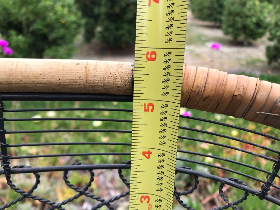 JUST ADDED - U-Pick Oranges And/Or Lemons From Fruit Grove - Fill Up Basket (Basket Included 26W X 13D X 6H) [Photo 5]