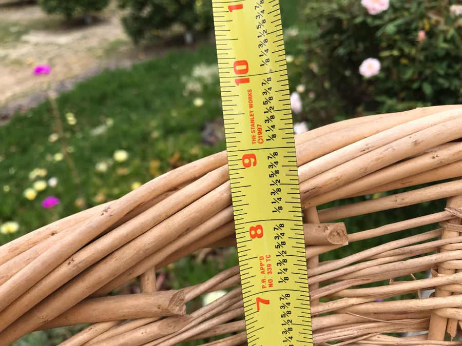 JUST ADDED - U-Pick Oranges And/Or Lemons From Fruit Grove - Fill Up Basket (Basket Included 23W X 17D X 9H) [Photo 5]