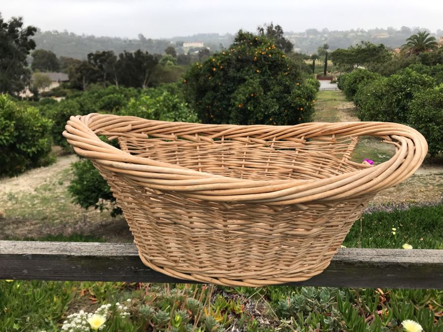 JUST ADDED - U-Pick Oranges And/Or Lemons From Fruit Grove - Fill Up Basket (Basket Included 23W X 17D X 9H) [Photo 2]