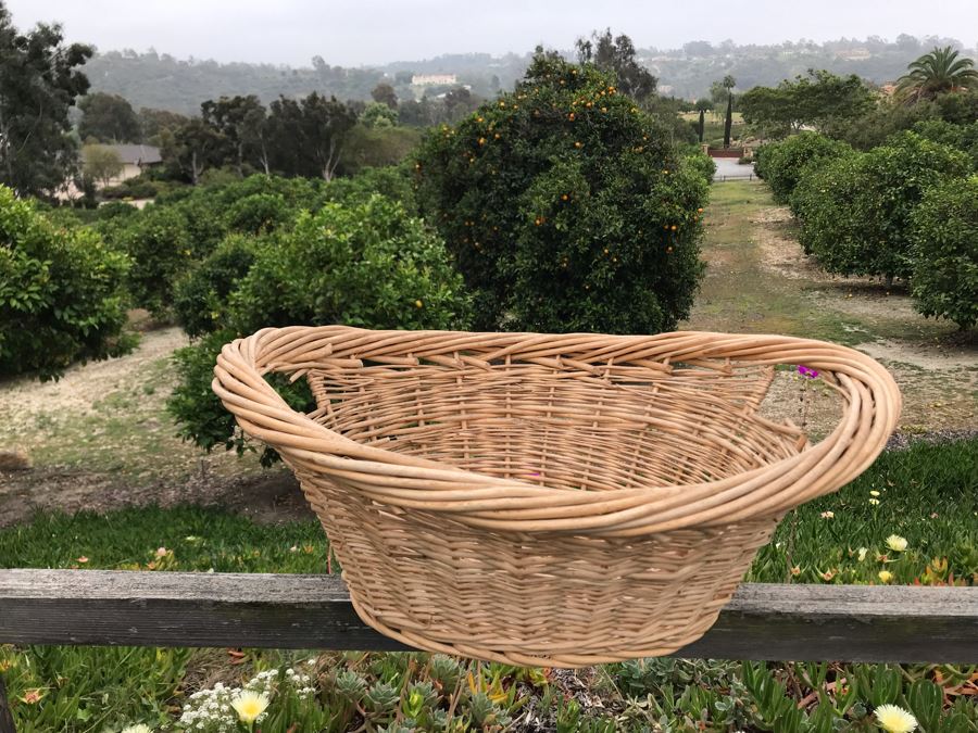 JUST ADDED - U-Pick Oranges And/Or Lemons From Fruit Grove - Fill Up Basket (Basket Included 23W X 17D X 9H)