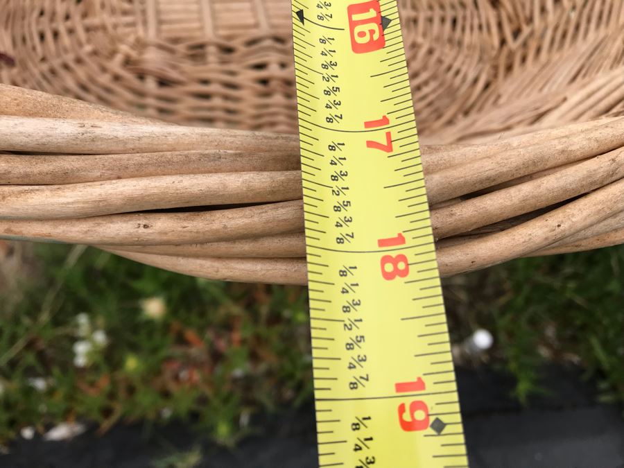 JUST ADDED - U-Pick Oranges And/Or Lemons From Fruit Grove - Fill Up Basket (Basket Included 23W X 17D X 9H) [Photo 4]