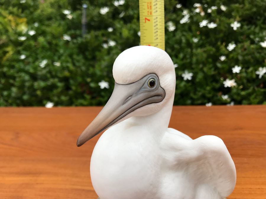 JUST ADDED - Kazmar Figurine 'Red Footed Booby' 248 6W X 6H [Photo 7]