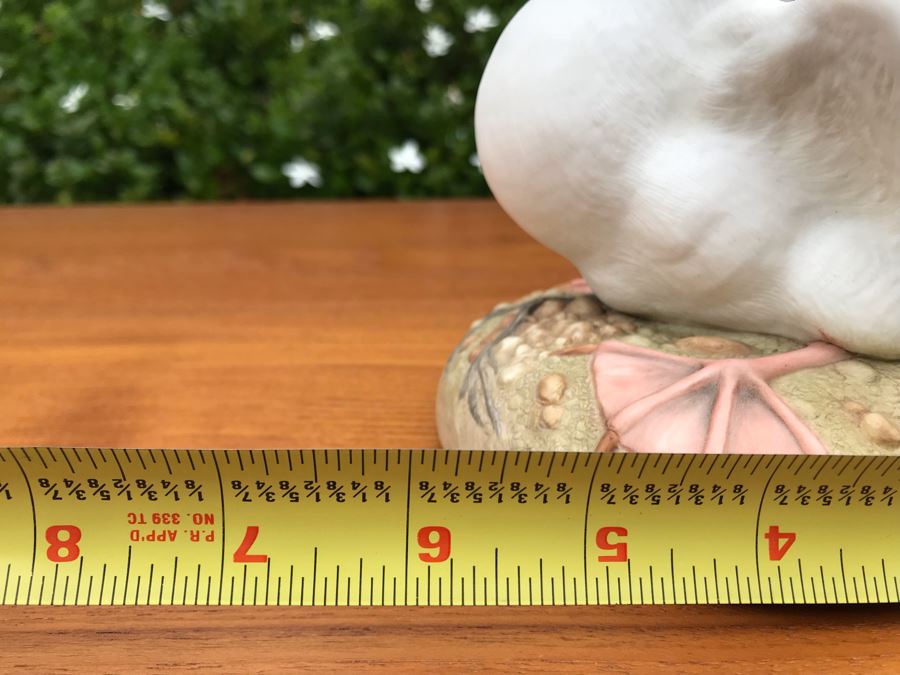 JUST ADDED - Kazmar Figurine 'Red Footed Booby' 248 6W X 6H [Photo 8]