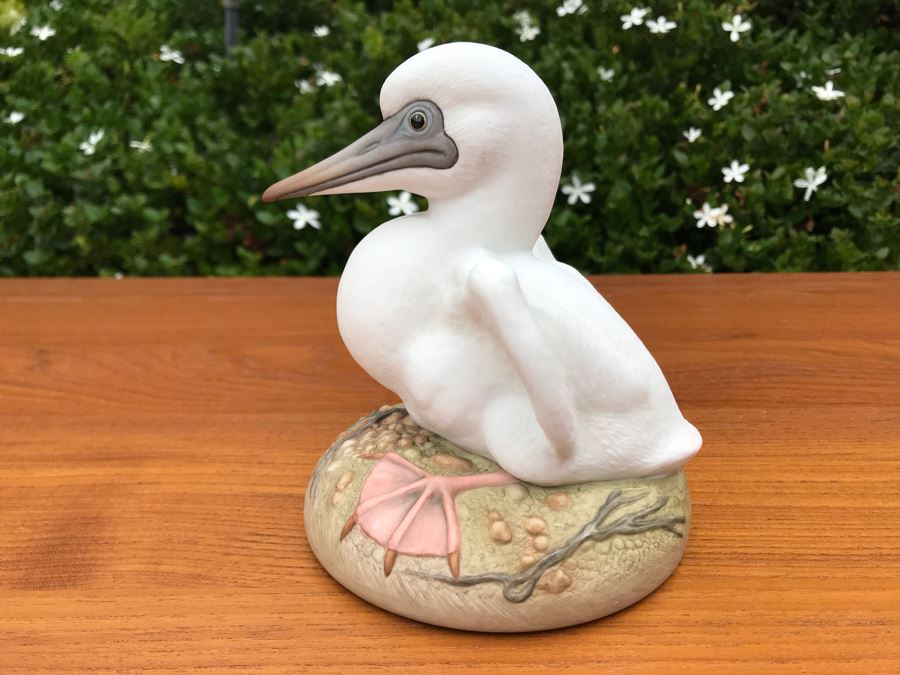 JUST ADDED - Kazmar Figurine 'Red Footed Booby' 248 6W X 6H [Photo 4]