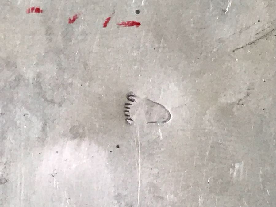 JUST ADDED - Stunning Signed Sterling Silver, Turquoise, Coral, Bear Claw Belt Buckle 75.3g [Photo 4]