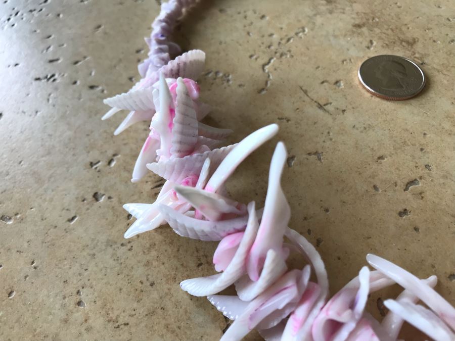 JUST ADDED - Organic Seashell Necklace [Photo 5]